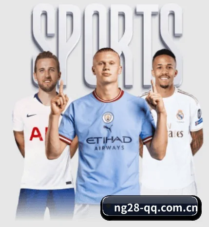 NG28 APP 界面